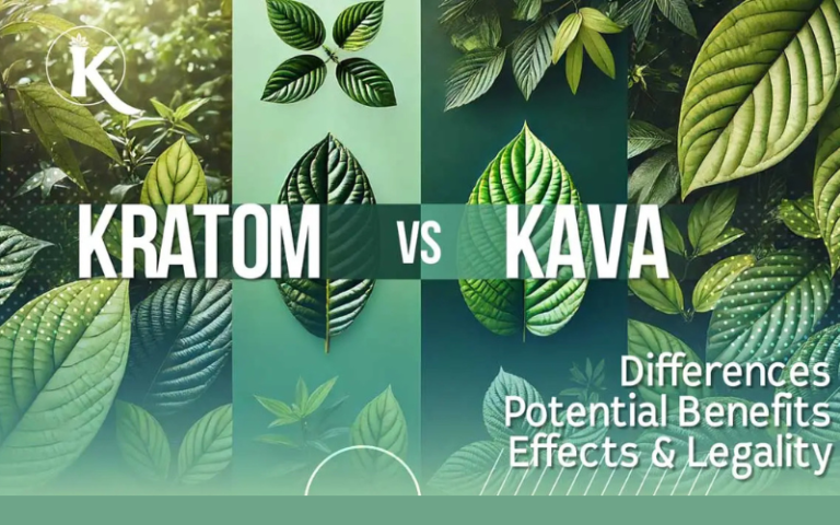 Kratom vs Kava: Understanding the Key Differences and Benefits