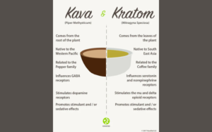 kratom vs kava